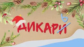 Зимний Новороссийск: чем заняться в городе-герое в холодное время года? Подборка 2023. «Дикарь»