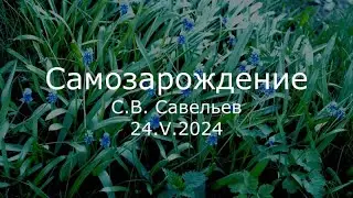 С.В. Савельев - Самозарождение