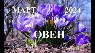 ОВЕН. ПРОГНОЗ ОСНОВНЫХ СОБЫТИЙ на  МАРТ 2024 года. Татьяна Шаманова
