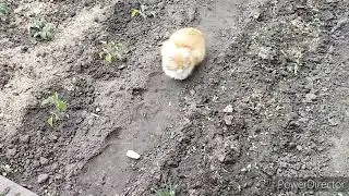 Славянск. 18.05.22. Утро не доброе ...