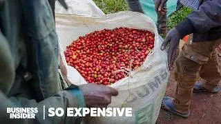 Why Single-Origin Coffee Is So Expensive | So Expensive Food | Insider Business