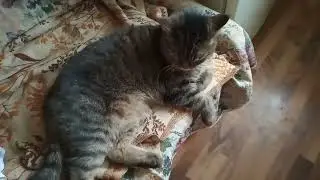 меня унесла стихия
