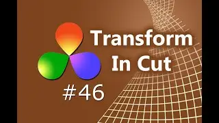 How To Use The Transform Tool In Cut In DaVinci Resolve 16.2
