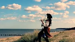 He's A Pirate | Pirates of the Caribbean | violin cover performance