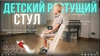 Растущий регулируемый детский стул Конек Горбунек