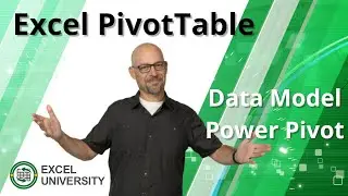 How to Build a PivotTable with the Data Model