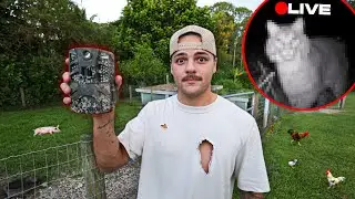 I put a LIVE CAMERA in my Backyard and FOUND THIS!!
