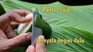 Pantas ga bisa mekar ! ternyata harus dibuat begini ini dulu