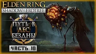 САМОЕ ЖУТКОЕ МЕСТО! ЛЕС БЕЗДНЫ! | Elden Ring Shadow of the Erdtree ⚔️ | Часть #10