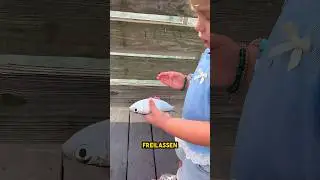 Ente griff kleines Mädchen an