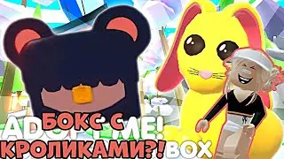ЛУННЫЙ НОВЫЙ ГОД УЖЕ В АДОПТ МИ!НОВАЯ ЛУННАЯ ВАЛЮТА, БОКСЫ, КРОЛИКИ?!|Adopt Me Roblox Lunar New Year