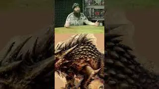 Любимое блюдо Империума! Грокс. Warhammer   