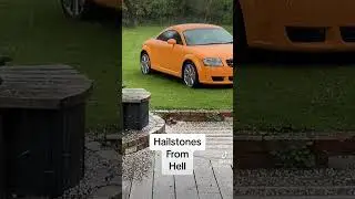 Poor old papaya in the hailstones!  