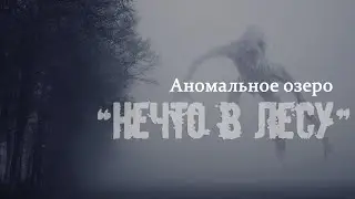 Аномальное озеро. Возвращение. ЭГФ. kinectcamera |An abnormal lake. Return. EVP. kinectcamera