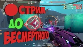 Молюсь богу регистрации ► Valorant  | 🔴 Стрим