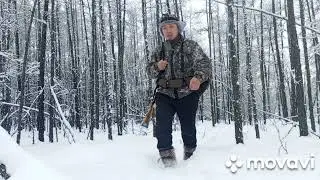 Побродим по тайге, вдруг кого нибудь увидем!