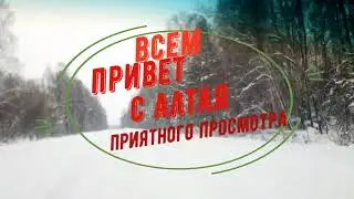 ВЫВОД БРОЙЛЕРОВ 2021\ПЕРЕСЕЛЕНИЕ В ПТИЧНИК\ОБЗОР ПТИЧНИКА\