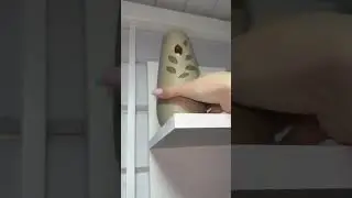 Вот такой минус жизни в доме 🥲 полное видео в инст: nadezda.alisia