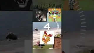 Испугать медведя?!😱 