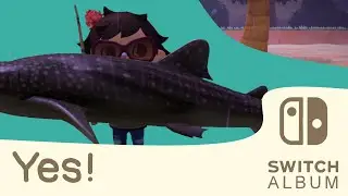 YES! | Johnystar's Switch Album | ep.7