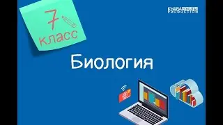 Биология. 7 класс. Использование бактерий. Значение бактерий в природе и жизни человека