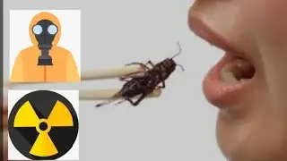 ЕДА ИЗ НАСЕКОМЫХ И РАДИАЦИЯ !  Связаны  между собой,  СРОЧНАЯ ИНФОРМАЦИЯ !