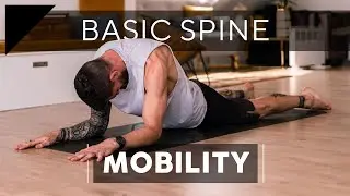 Basic Spine Mobility Exercises for Every Body