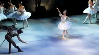 Иван Васильев и Мария Виноградова "Дон Кихот" 10/11/19