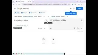POV: When you're on Google Translate