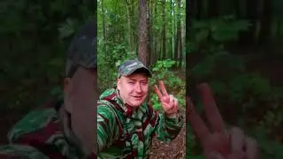 Давай Запомним это Лето 🐺🤟🫠 #Лето #песняхит