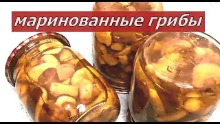 Маринованные Грибы на Зиму. Самый правильный рецепт заготовки польских грибов.