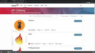 How to filter the API catalog by additional custom properties