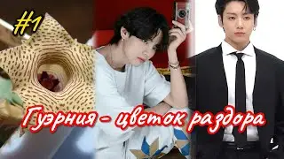 ГУЭРНИЯ - ЦВЕТОК РАЗДОРА  |  1  часть   |  Ли Соль  |  Озвучка фанфика  