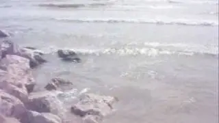 Thalassa-Θάλασσα-Xatzigiannis