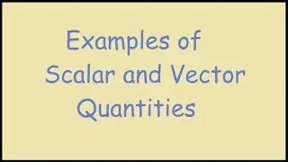 Examples of Scalar and Vector Quantities