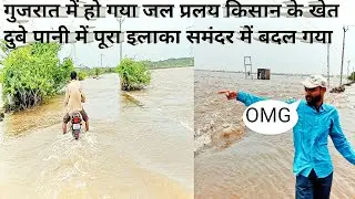 gujarat mein bhari barish ki video_