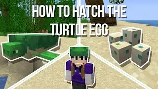 How to Get & Hatch a Turtle Egg (Re-make) | Minecraft