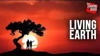 Calming Instrumental Music for Sleeping, Meditation and Relaxation | Living Earth