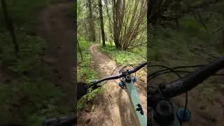 Breaking in the new bike!