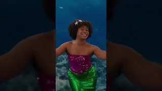 🎵 