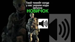 Твой тимейт когда у вас украли коды запуска  #warface #2024 #мем