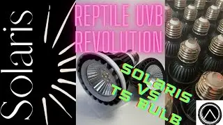 Reptile UVB LED Lighting