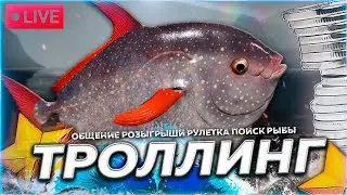 🔥ТРОЛЛИНГ ⭐ МЕЧ 220 КГ ГРЕНКА 174КГ ПОКЛЁВКА 大鱼的诱饵 🎁Рулетка & Розыгрыши 🏆 СТРИМ РР4