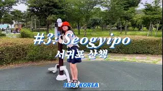 2022 JEJU KOREA: Seogwipo exploration - Chilsipni park 칠십리공원, jeju black pig 흑돼지, SaeYeon bridge 새연교