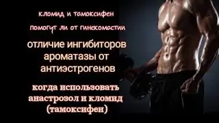 Кломид Тамоксифен или Анастрозол от гинекомастии. В чем отличие. Что лучше на ПКТ.