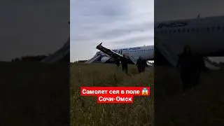 Самолет сел в поле 😱😱😱 Сочи-Омск