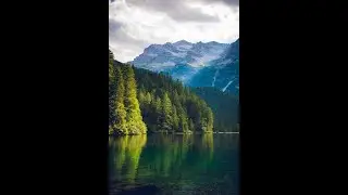 10 minutes of relaxation with beautiful nature scenes | Sleep • Reduce stress etc | AIO Nature