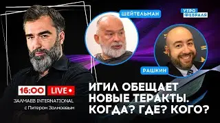 🔴НОВЫЕ ТЕРАКТЫ НА ТЕРРИТОРИИ РОССИИ. Смогут ли СИЛОВИКИ предотвратить? – ШЕЙТЕЛЬМАН & РАШКИН