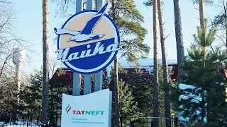 Чайка 2023