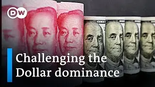 The dwindling importance of the dollar as the worlds reserve currency | DW News